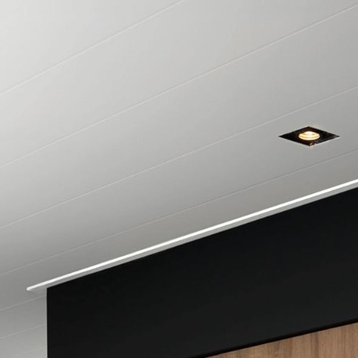 Wand- en plafondpanelen