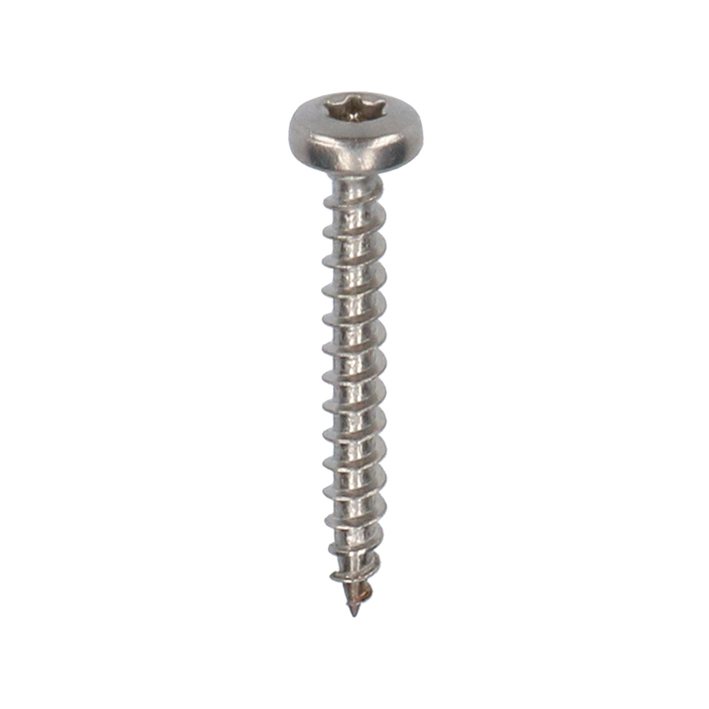Schroef 30mm Torx 200 stuks 2801 RVS