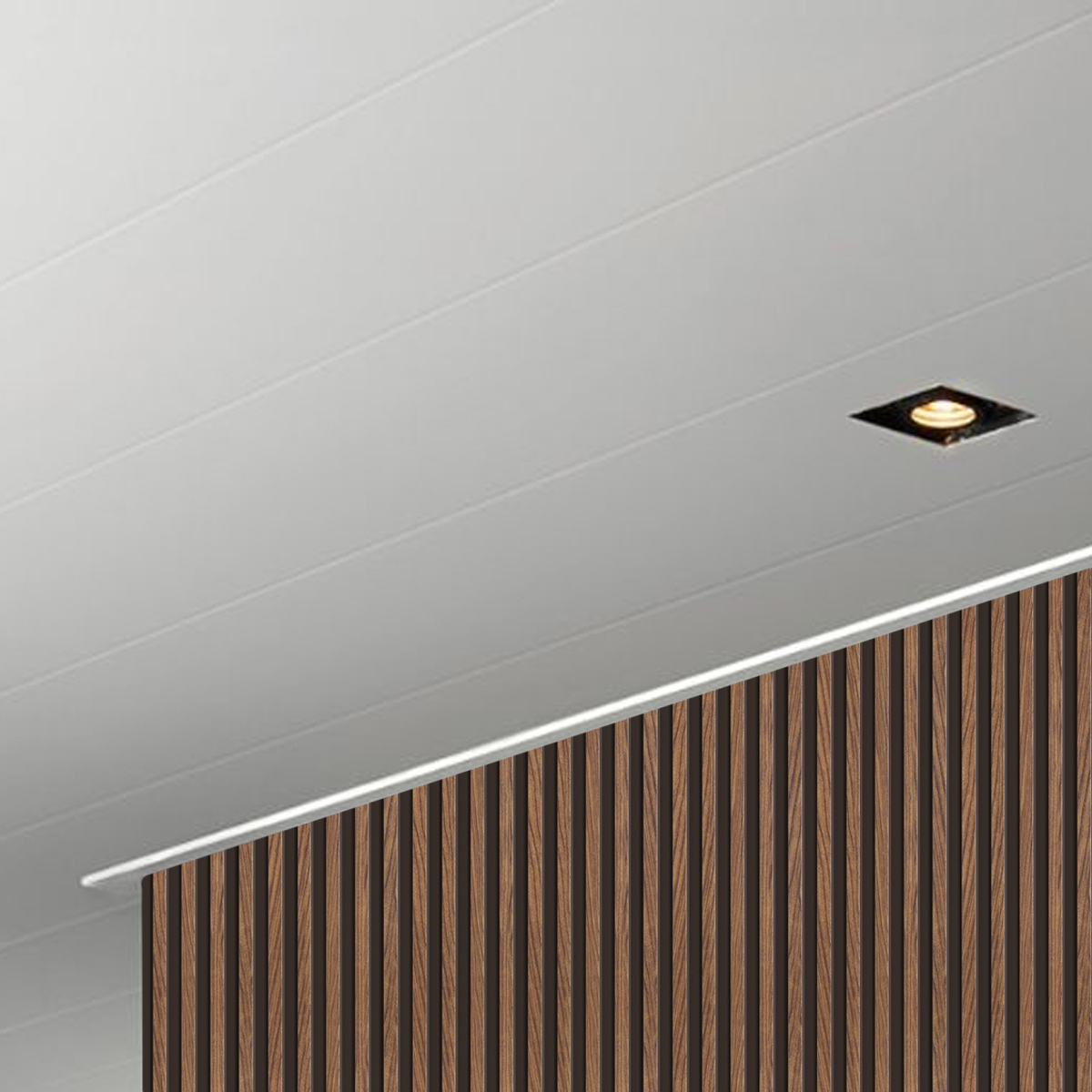 Wand- en plafondpanelen